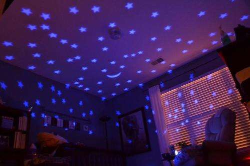 Turtle Night Sky Constellations - Pink or Blue