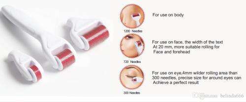 4 in 1 Derma Roller