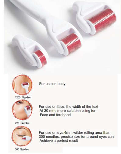 4 in 1 Derma Roller