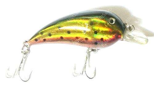 Fishing Lure Small