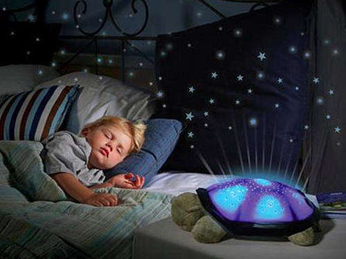 Turtle Night Sky Constellations - green