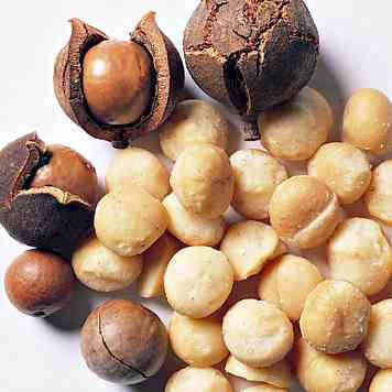 Macadamia Nut Oil 1 Liter