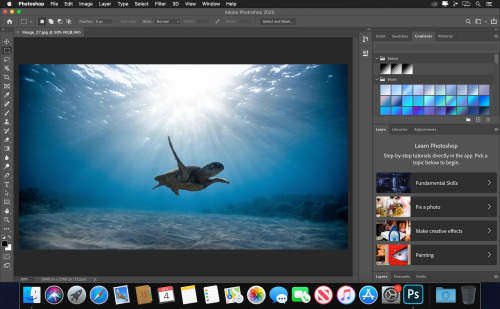 Adobe Photoshop 2020 - 1-Year Full Commercial Account for PC/MAC - Promotional Offer