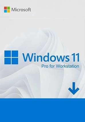 Microsoft Windows 11 Pro for Workstations