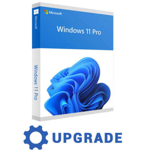 Microsoft Windows 11 Pro