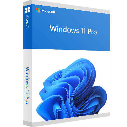 Microsoft Windows 11 Pro