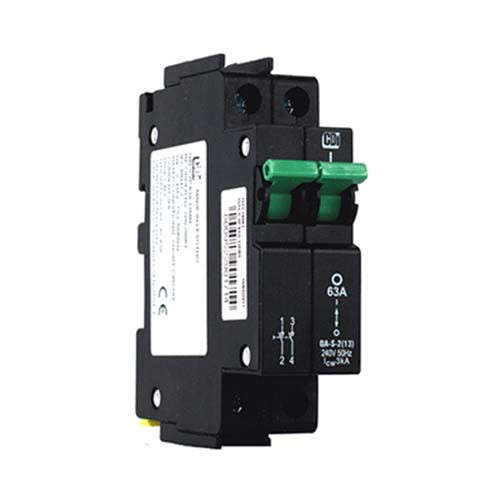 CBi Dual Pole Isolator - 63A