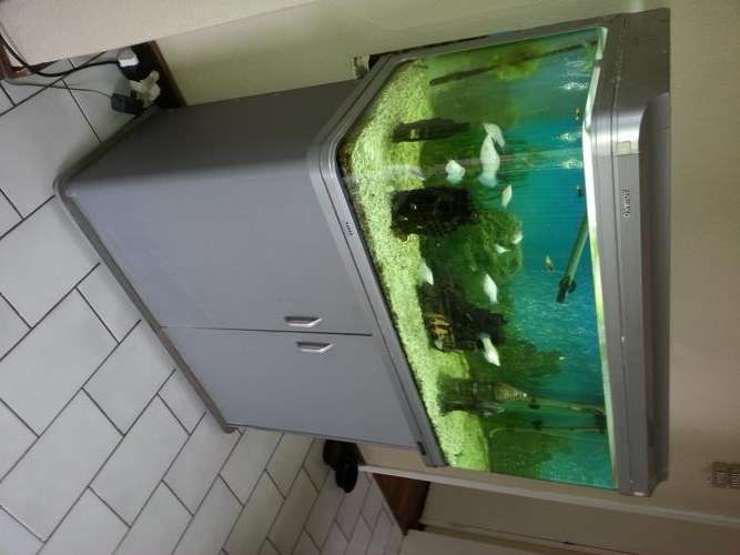 AquaH2O Acrylic 100L Fish Tank - Price Reduced!