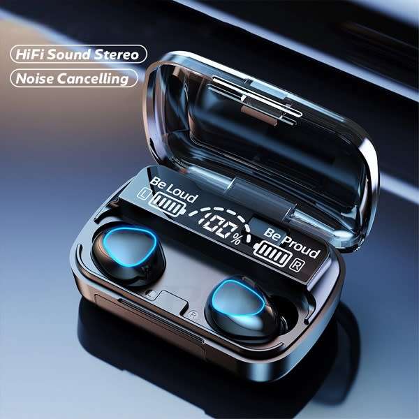 Earbuds/Earpods