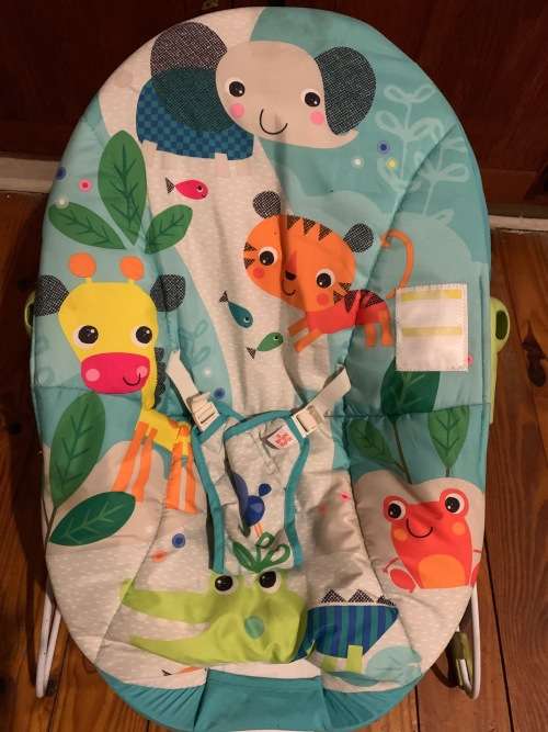 Baby Bouncer Chair
