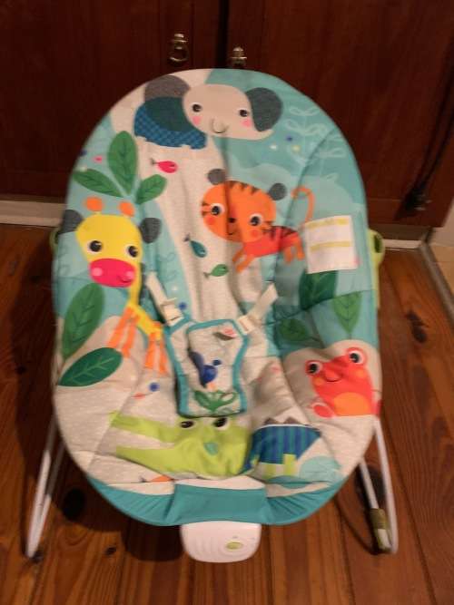 Baby Bouncer Chair