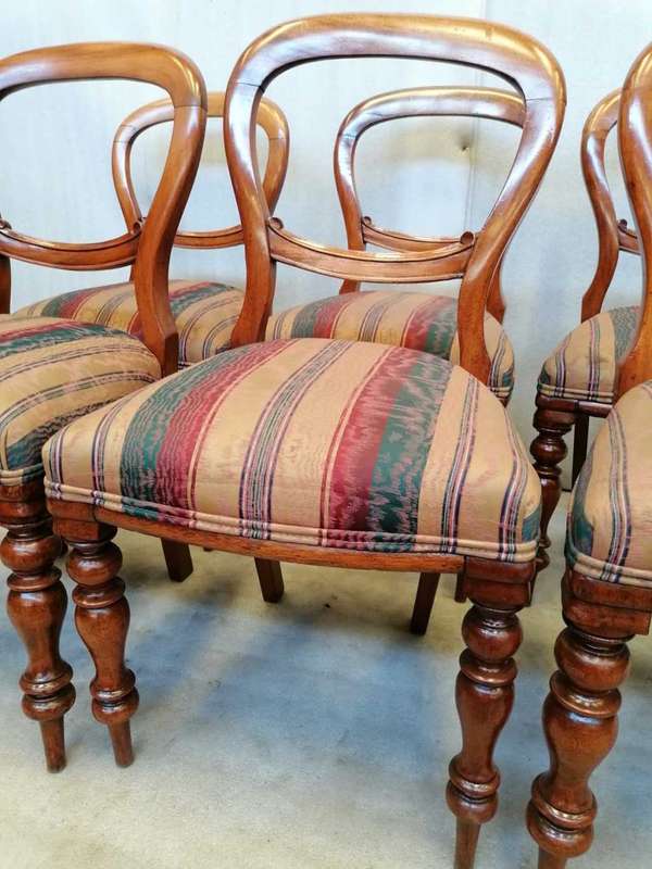 A set of 6 Mahogany Balloon back chairs