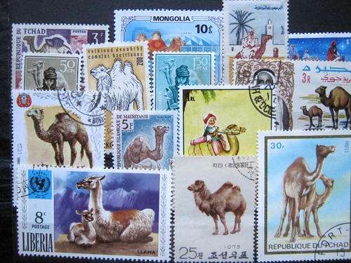 CAMELS - SELECTION OF 14 STAMPS AS PER SCAN
