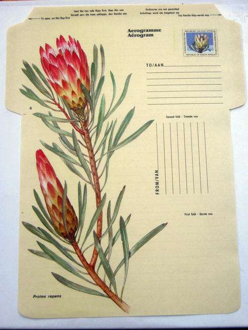 RSA - AEROGRAMME # 4 - PROTEAS