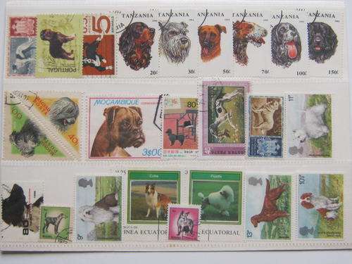 DOGS - SELECTION OF 24 STAMPS -BID PER STAMP