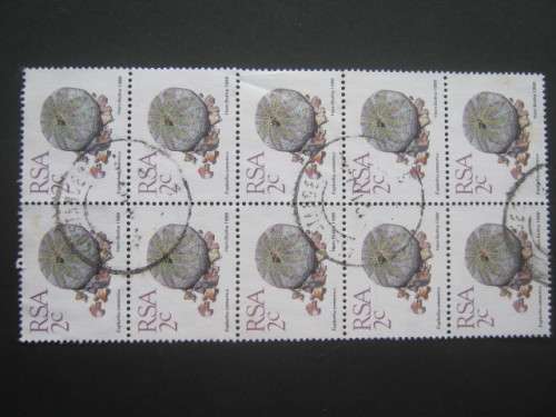 RSA - 1988 5th DEFIN ISSUE (SUCCULENTS) - 2c BLOCK OF 10 -USED POSTALLY