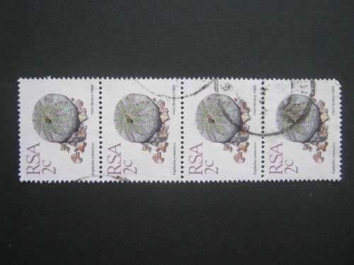 RSA - 1988 5th DEFIN ISSUE (SUCCULENTS) - 2c STRIP OF 4 -USED POSTALLY