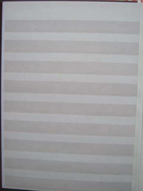 EMPTY `PRONTO` STOCKBOOK (BROWN WITH WHITE PAGES) - PREVIOUSLY USED BUT AS GOOD AS NEW