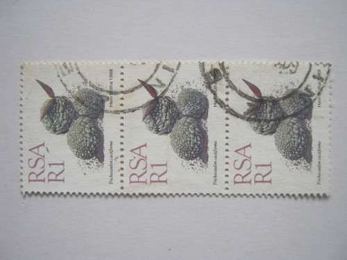 RSA - 1988 5th DEFIN ISSUE (SUCCULENTS) - R1 STRIP OF 3 - POSTALLY USED