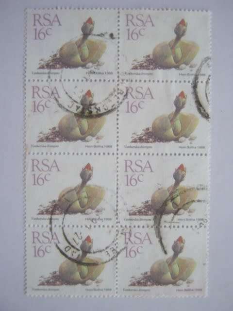 **R1 START** RSA - 1988 5th DEFIN ISSUE (SUCCULENTS) - 16c BLOCK OF 8 - POSTALLY USED
