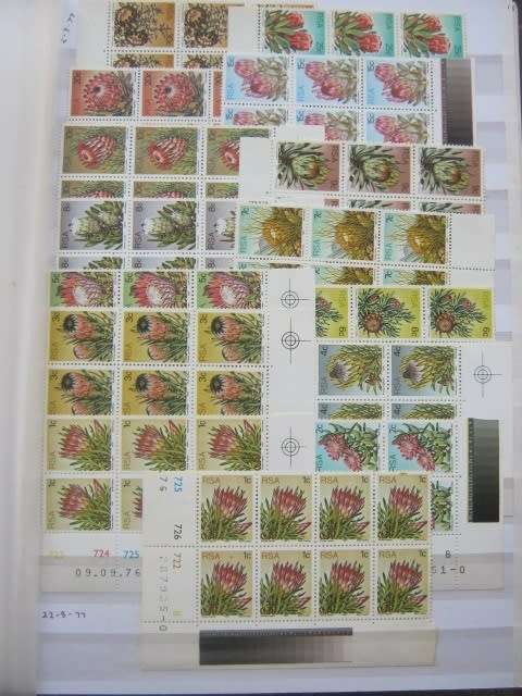 LARGE `IMPERIAL` STOCK BOOK - RSA - CRAMMED WITH CYLINDER BLOCKS, BLOCKS, MINISHEETS ETC