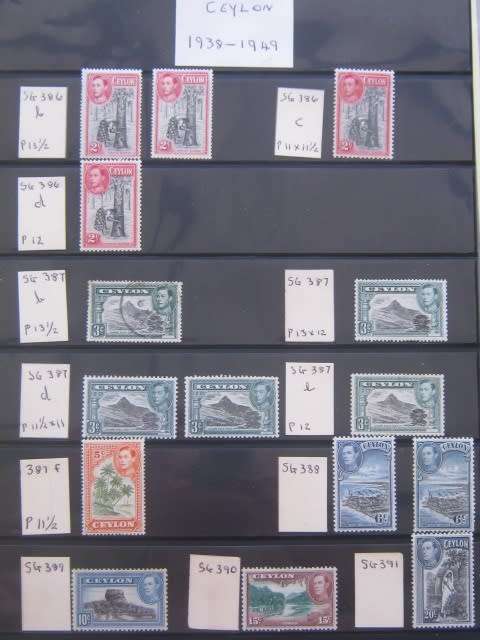 CLEARANCE LOT - CEYLON ON LARGE STOCK CARDS