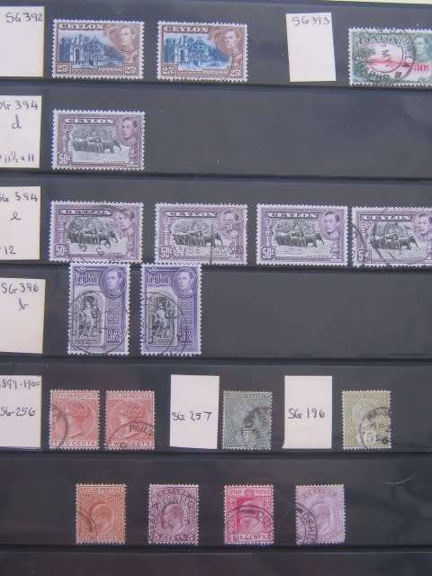 CLEARANCE LOT - CEYLON ON LARGE STOCK CARDS