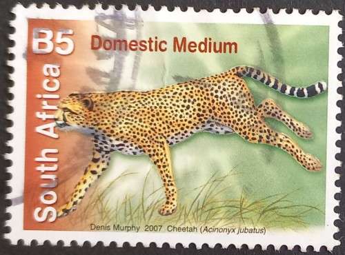 RSA - 2007 ADDT VALUES TO 7th DEFIN ISSUE - B5 CHEETAH - SINGLE - POSTALLY USED