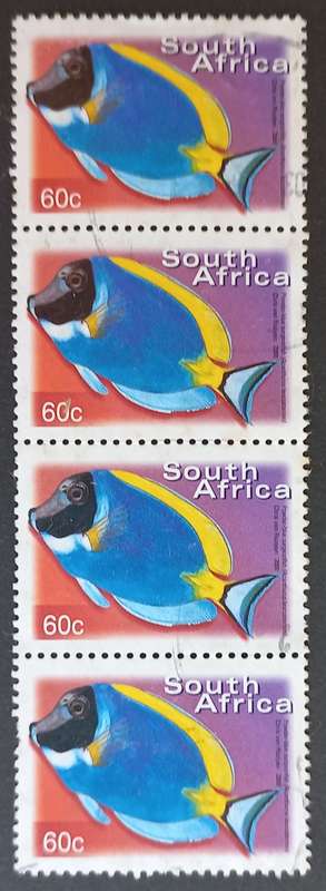 RSA - 2000 7th DEFIN ISSUE - 60c POWDER-BLUE SURGEONFISH - VERTICAL STRIP OF 4 - POSTALLY USED