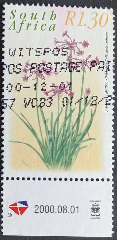 RSA - 2000 MEDICINAL PLANTS - R1,30 WILD GARLIC - MARGINAL SINGLE (WITH DATE) - POSTALLY USED