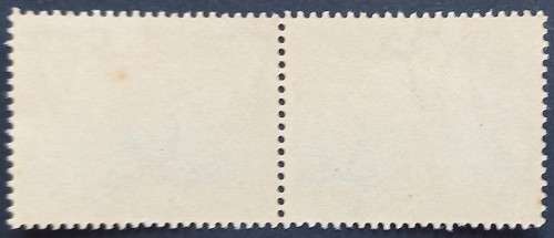 UNION 1945-48 UNION BUILDINGS (REDRAWN) - 2d GREY & VIOLET (2 TOUCHES THE CIRCLE) - PAIR - UNUSED