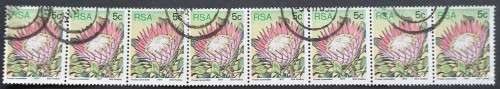 **R1 START** RSA - 1977 DEFIN ISSUE `PROTEAS` - 5c - STRIP OF 8 - POSTALLY USED