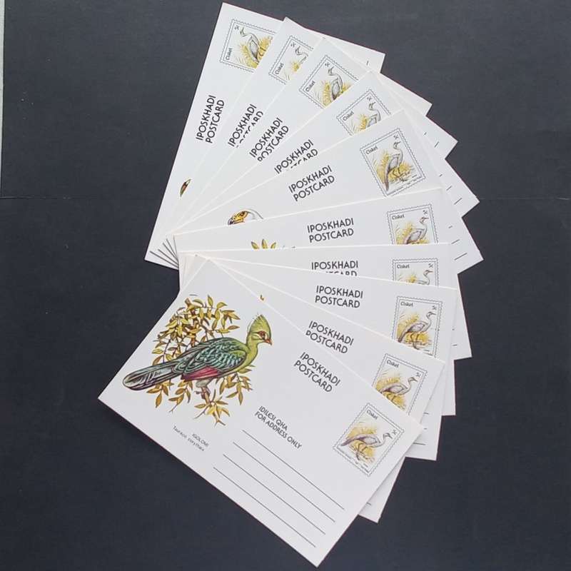 Ciskei - 1981 Birds - Set of Postcards 5c each - Unused and in mint condition