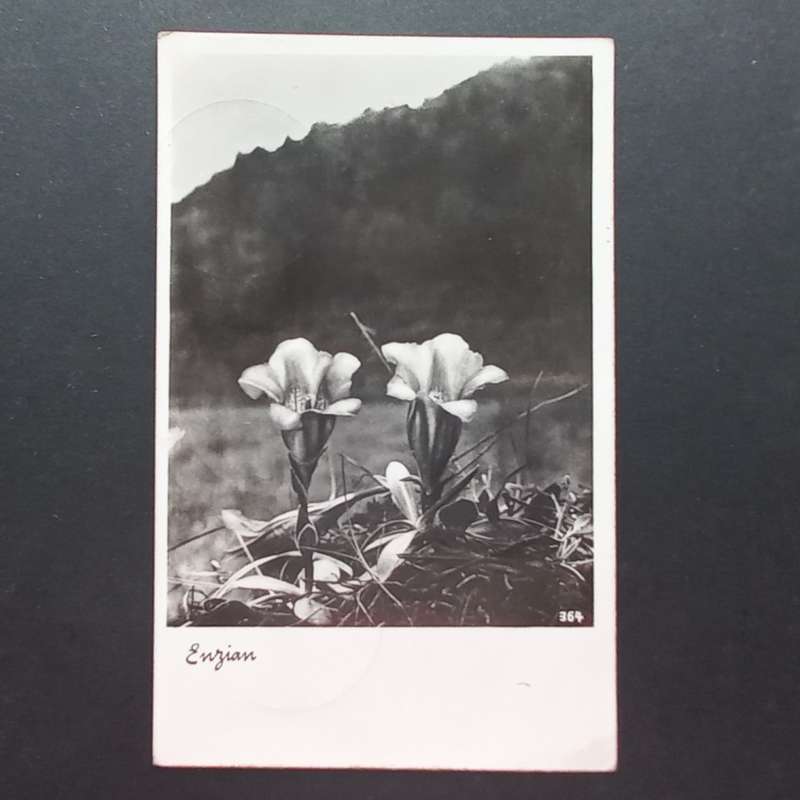 Vintage Postcard - 1939 Deutsches Reich - Unposted