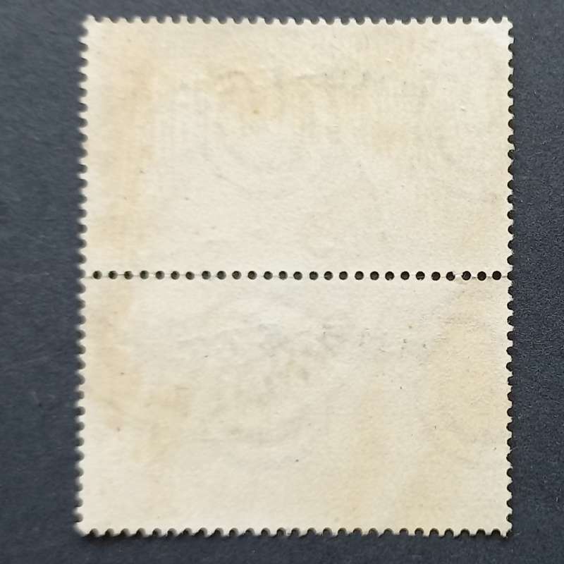 Trieste - 1948 Centenary of 1848 Revolution - 20l. Red - Vertical Pair - Used