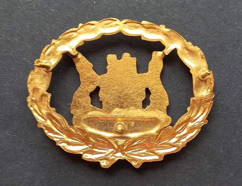 SADF `RHODESIA CONFLICT` WARRANT OFFICER RANK BADGE