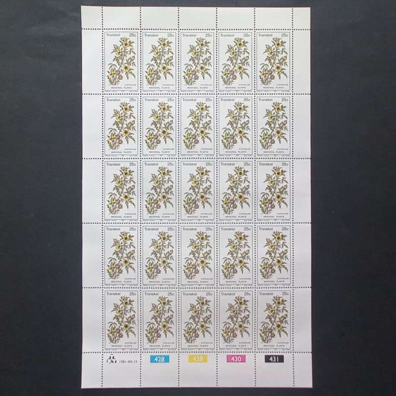 Transkei - 1981 Medicinal Plants - Full Set of Full Sheets of 25 - Unused