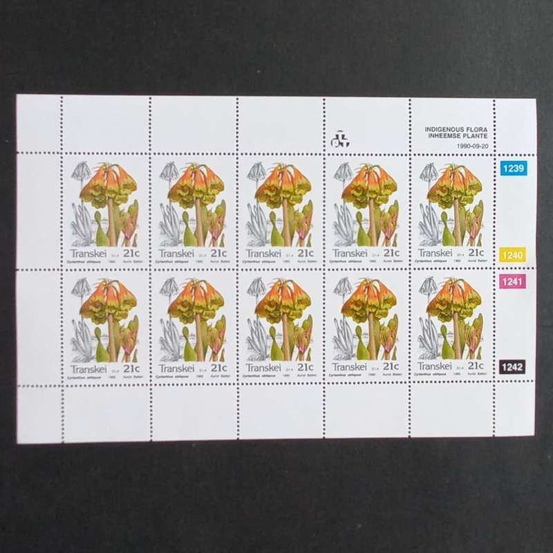 Transkei - 1990 Indigenous Flora - Full Set of Sheetlets of 10 - MNH
