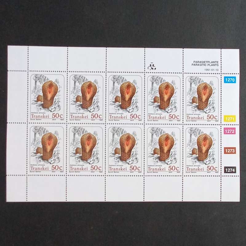 Transkei - 1991 Parasitic Plants - Full Set of Sheetlets of 10 - MNH