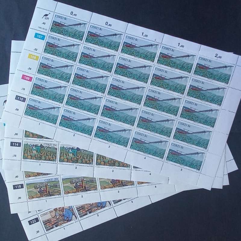 Ciskei - 1982 Pineapple Industry - Full Set of Full Sheets of 25 - MNH