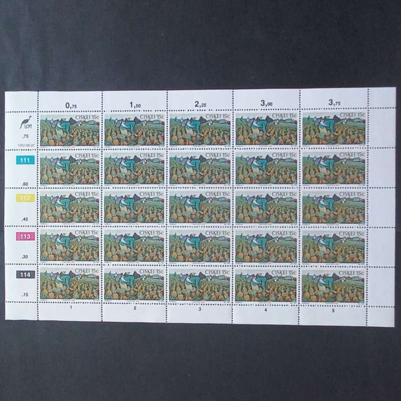 Ciskei - 1982 Pineapple Industry - Full Set of Full Sheets of 25 - MNH
