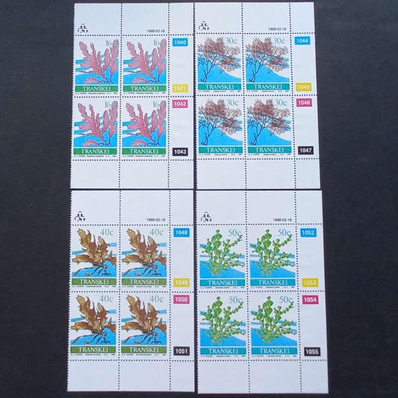 Transkei - 1988 Seaweed - Full Set of Controls - Unused