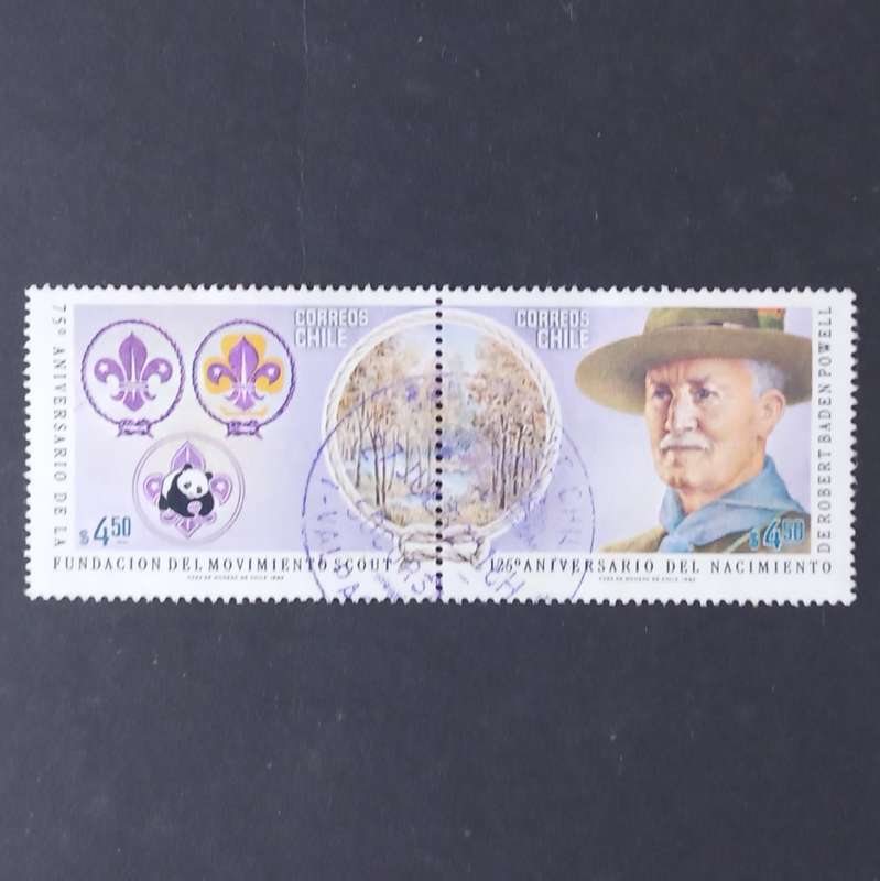 Thematics - Boy Scout Movement - Chile - 1982 - Set in Setenant Pair - Postally Used