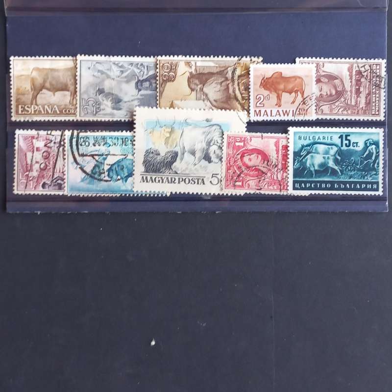 Thematics - Bulls/Cattle - 10 stamps - no duplication