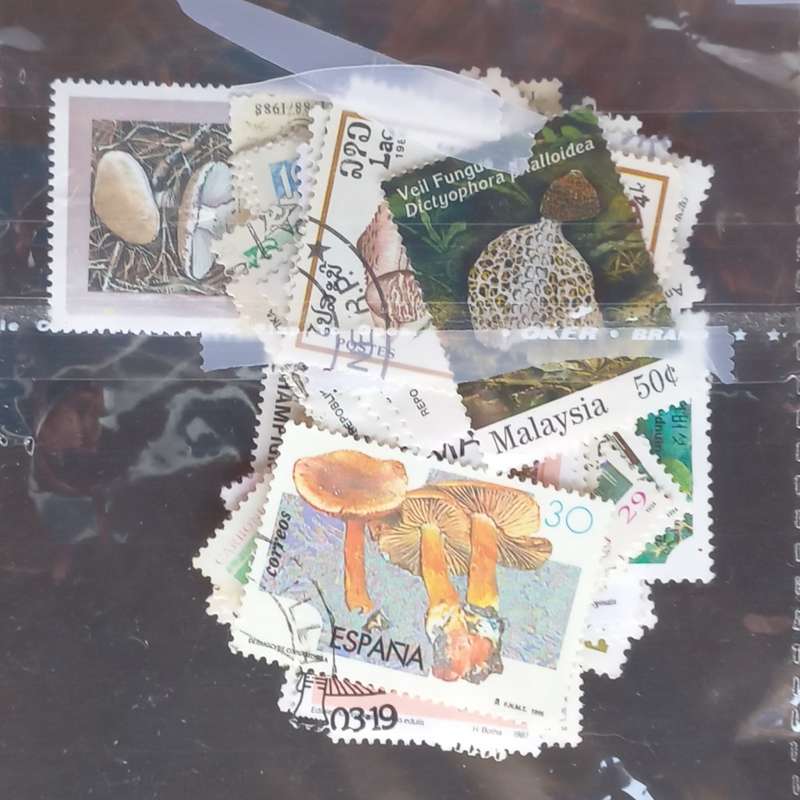 Thematics - Fungi - 60 stamps in packet - no obvious duplication