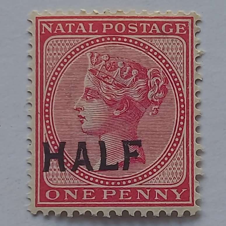 Natal - 1895 Queen Victoria surch "HALF" on 1d Rose - Single - MNH