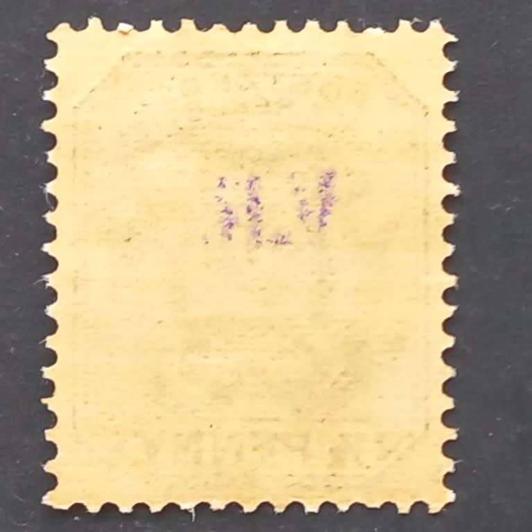 Rustenburg - 1900 Handstamped "V.R." in Violet - 1/2d Green - Single - Unused
