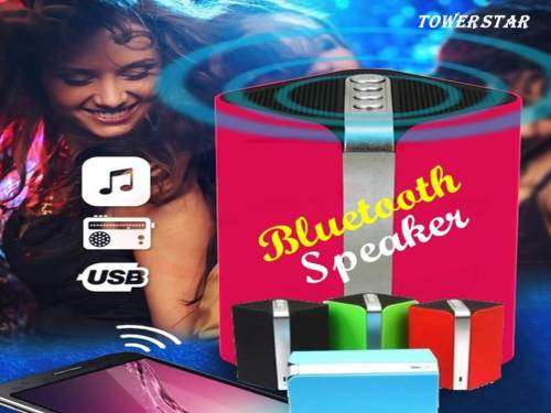 Wireless Bluetooth Subwoofer Speaker with Hands-free Mic, Support FM Radio, SD Card & USB