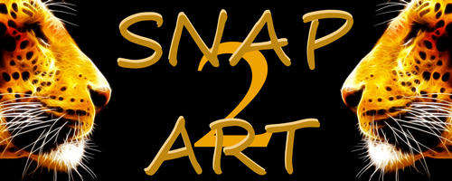 Make money from selling your pictures on the internet? (Get Free or Order)