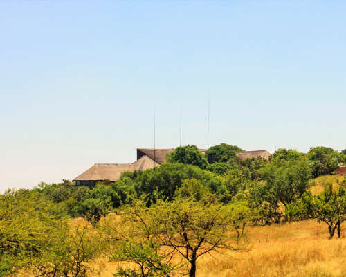 ! PEACEFUL BUSHVELD ! 4-night stay @ Monateng Safari Lodge 20-24 February 2023 (sleep 6)